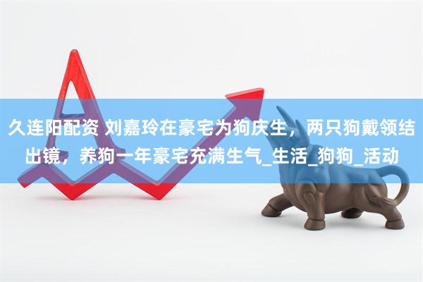 久连阳配资 刘嘉玲在豪宅为狗庆生，两只狗戴领结出镜，养狗一年豪宅充满生气_生活_狗狗_活动