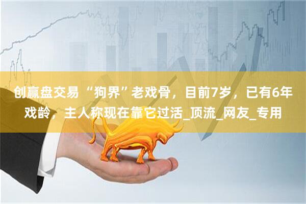 创赢盘交易 “狗界”老戏骨，目前7岁，已有6年戏龄，主人称现在靠它过活_顶流_网友_专用