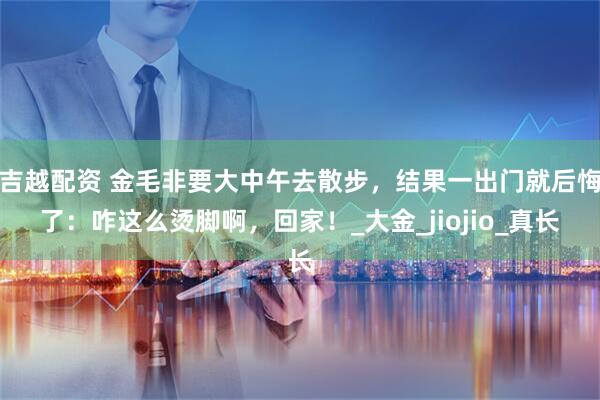 吉越配资 金毛非要大中午去散步，结果一出门就后悔了：咋这么烫脚啊，回家！_大金_jiojio_真长