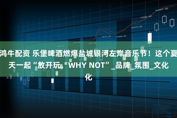 鸿牛配资 乐堡啤酒燃爆盐城银河左岸音乐节！这个夏天一起“放开玩，WHY NOT”_品牌_氛围_文化