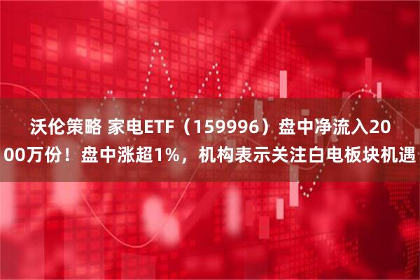 沃伦策略 家电ETF（159996）盘中净流入2000万份！盘中涨超1%，机构表示关注白电板块机遇