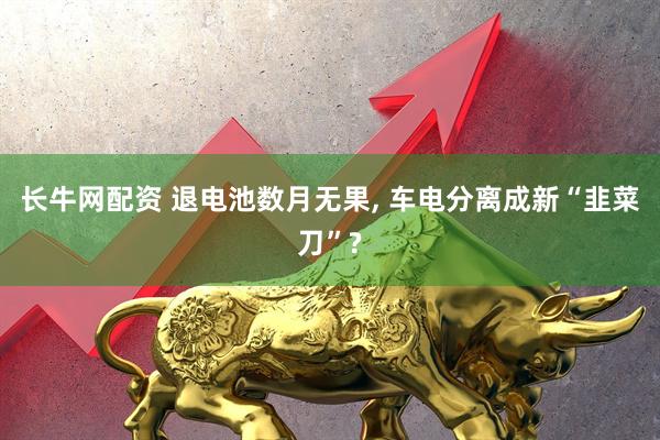 长牛网配资 退电池数月无果, 车电分离成新“韭菜刀”?
